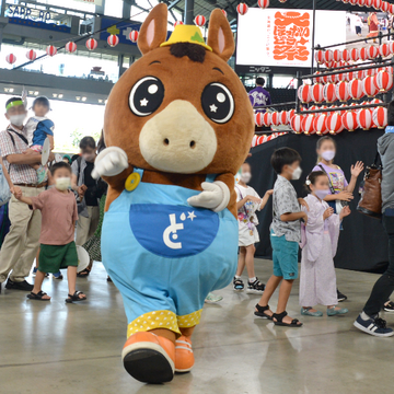 ［ STV ］　どさんこくん