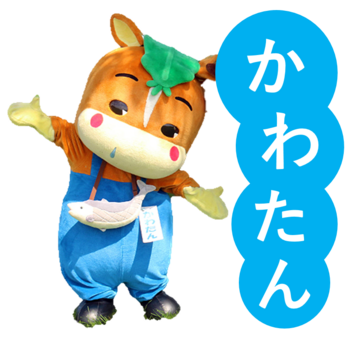 ［ 浦河町 ］ かわたん