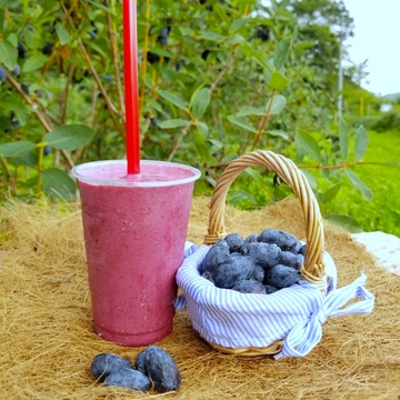 厚真町　ハスカップカフェ山口農園